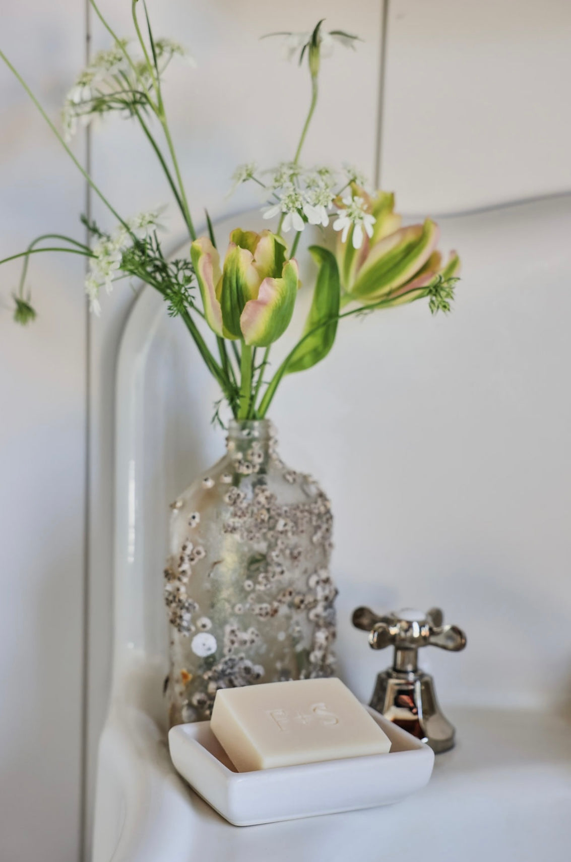 Farm + Sea Bar Soap - Sea Salt