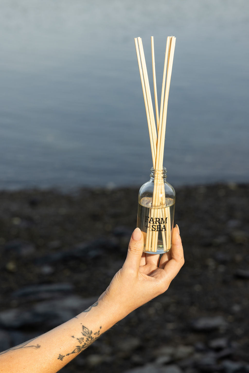 Hand holding a Farm + Sea reed diffuser by the ocean
