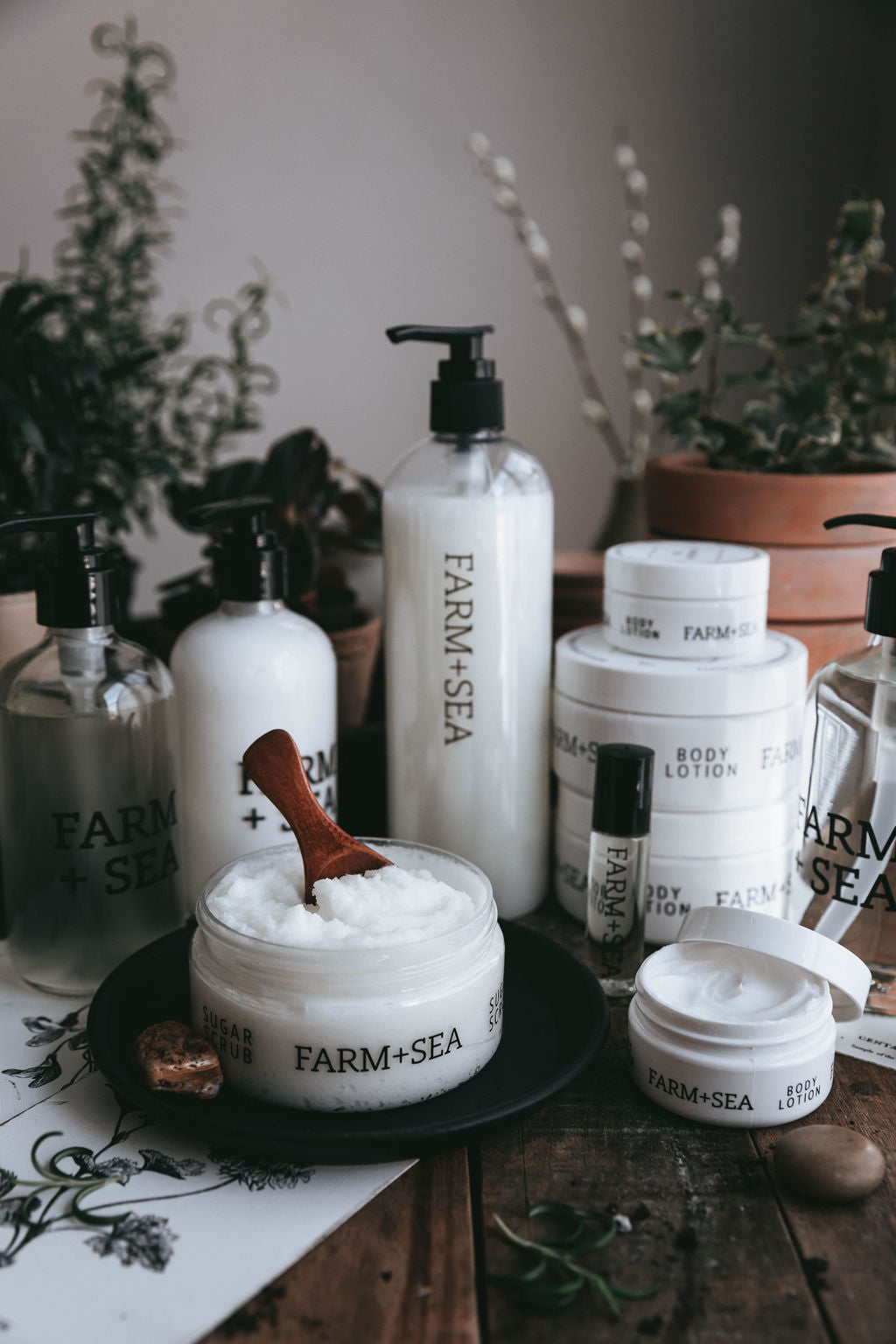 Farm + Sea Sugar Scrub