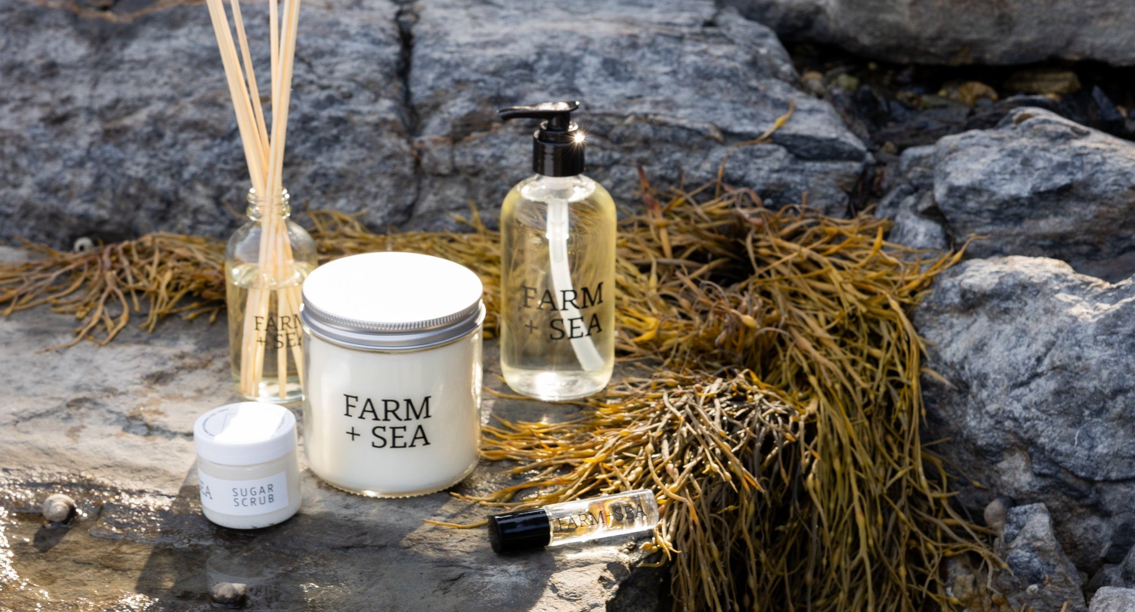 Farm + Sea skincare products on a stone surface with natural elements