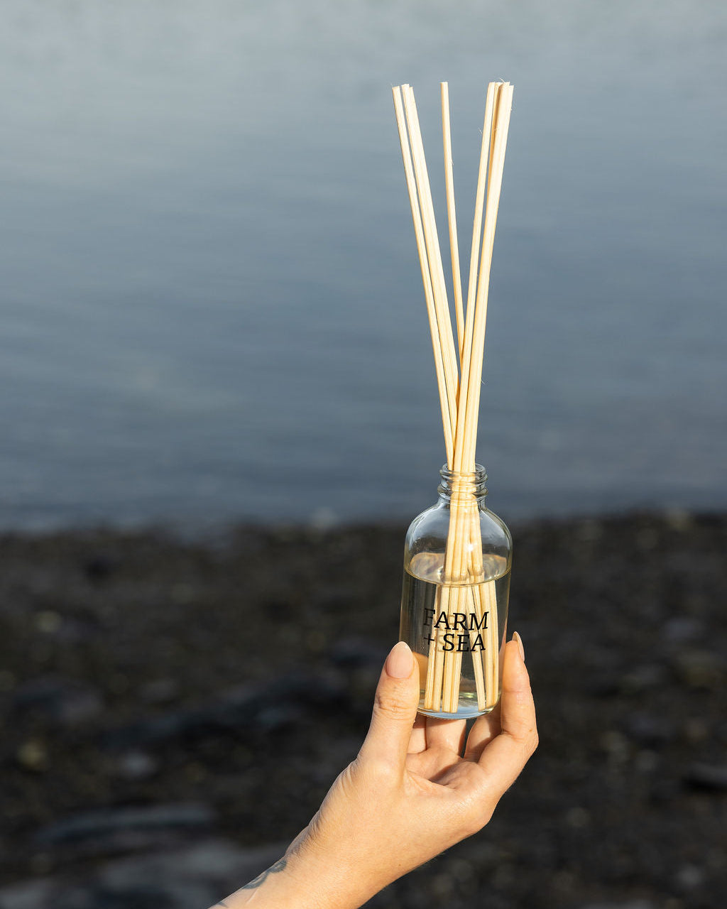 Farm + Sea Reed Diffuser - Lemon + Lavender