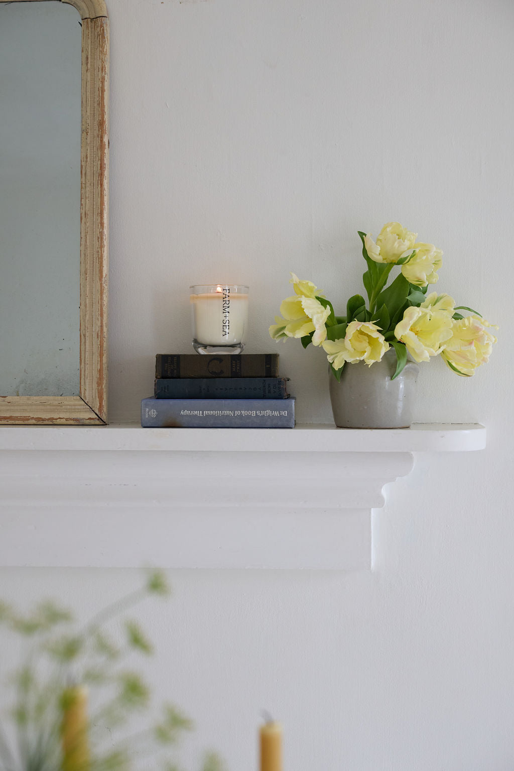 Farm + Sea Wood Wick Tumbler Jar Candle - Eucalyptus + Mint